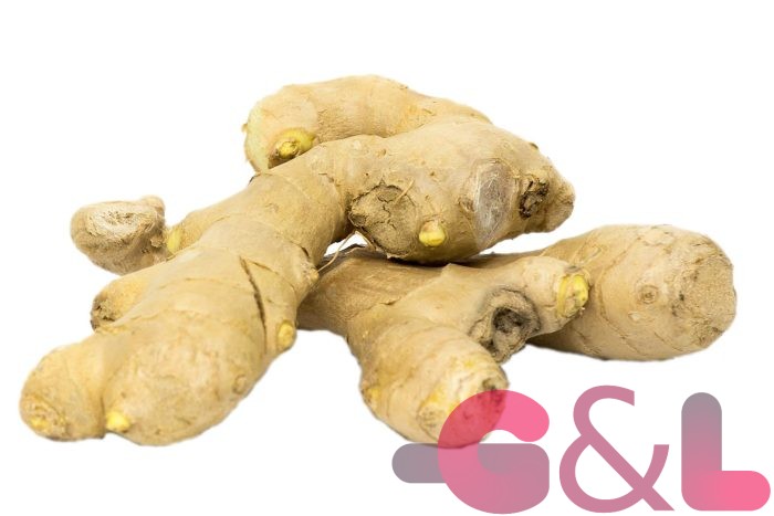 پودر جینسینگ پاناکس G&L Ginseng - تصویر 11